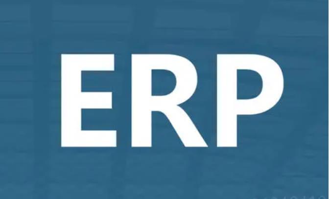 关于ERP管理系统的实施和维护费用